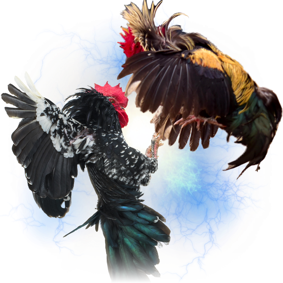 WS168 ผู้ให้บริการคาสิโนสด